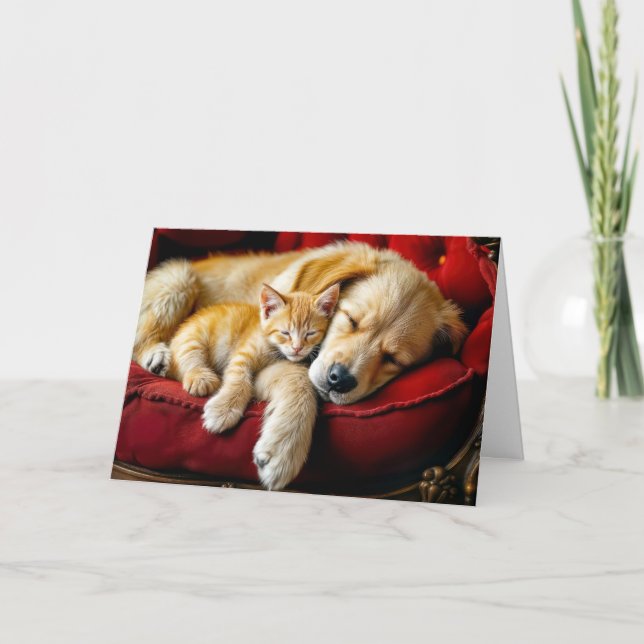 Carte Anniversaire Golden Retriever et Gold Kitten Sleep (Devant)