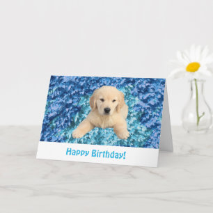 Carte Anniversaire Golden Retriever Puppy