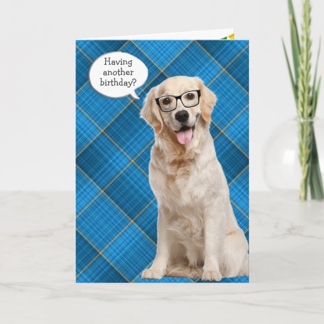 Carte Anniversaire Golden Retriever Sur Plaid (Devant)
