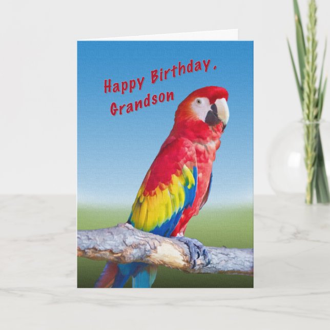 Carte Anniversaire, Grand-fils, Macaw Parrot (Devant)
