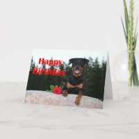 anniversaire heureux de rottweiler