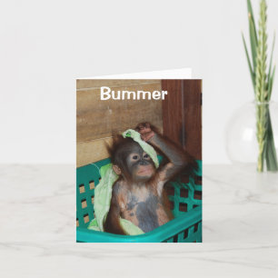 Carte Anniversaire heureux et tardif Je suis désolé