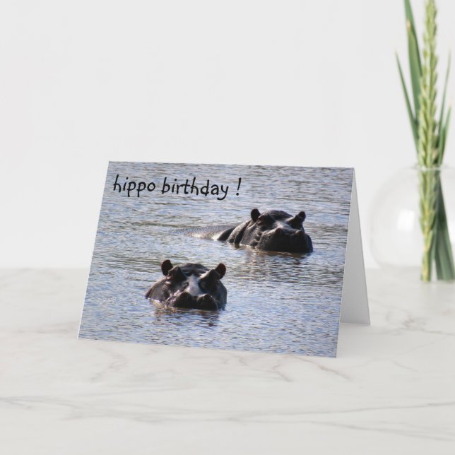 Carte anniversaire hippo (Devant)
