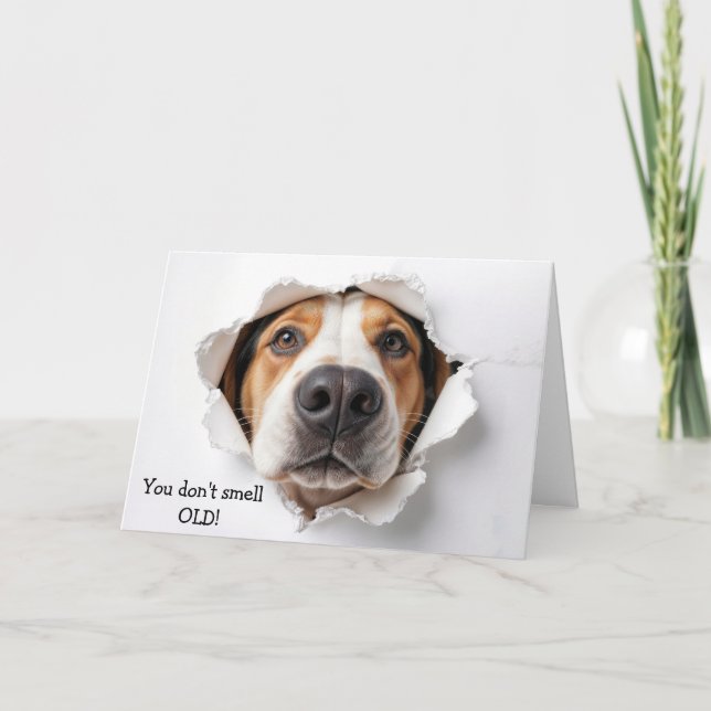 Carte Anniversaire Hound Dog Visage dans le trou de papi (Devant)