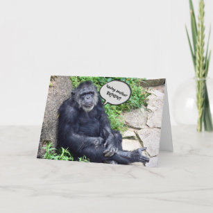 Cartes De Vœux Humour Singe Zazzle Fr