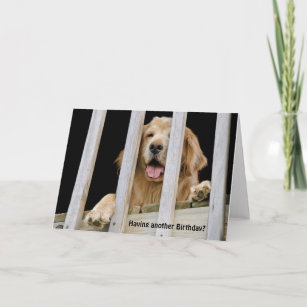 Cartes De Vœux Humoristique Chien Zazzle Fr