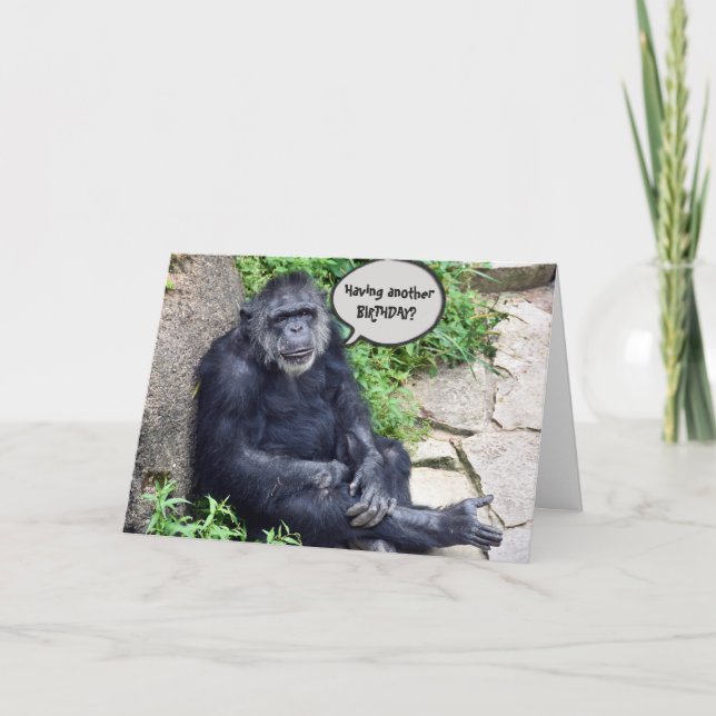 Carte Anniversaire humoristique du Chimpanzé (Devant)