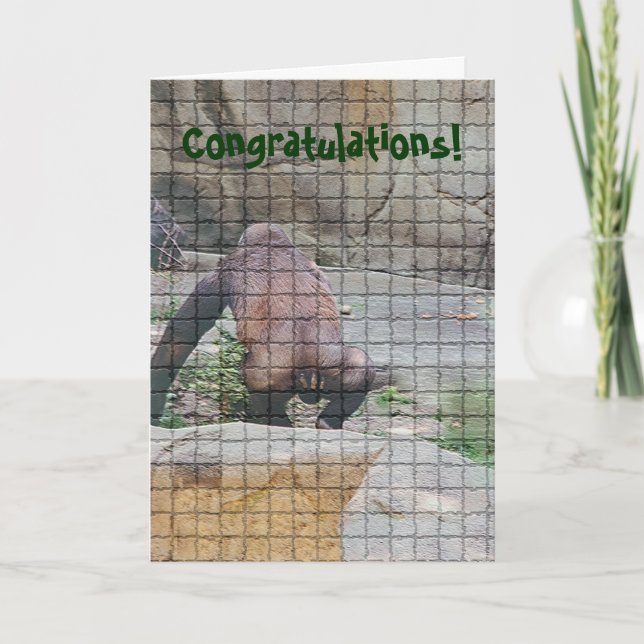 Carte Anniversaire humoristique, "Mauvais singe" (Devant)