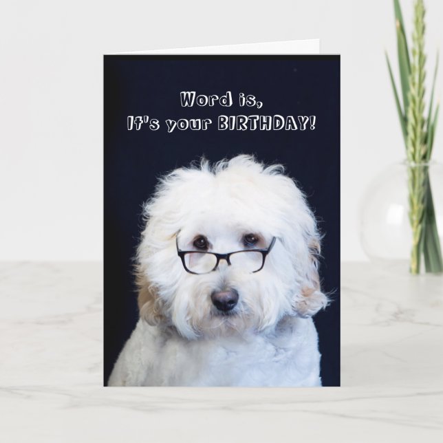 CARTE ANNIVERSAIRE - HUMOUR AVEC CHIEN/VERRE NOIR-RIM (Devant)
