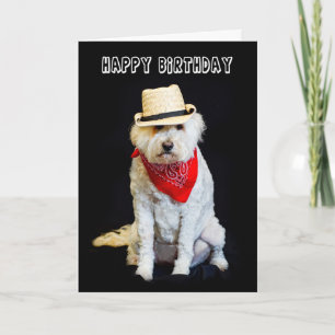 CARTE ANNIVERSAIRE - HUMOUR - CHIEN/COWBOY CASQUETTE ET