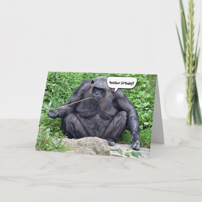 Carte Anniversaire humour Chimpanzé (Devant)