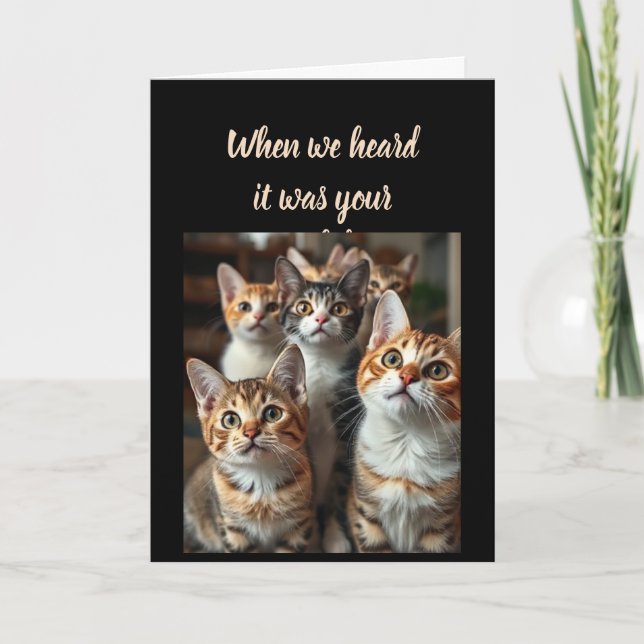 Carte Anniversaire Humour de tous nous mignons Chats (Devant)
