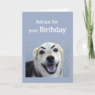 Carte Anniversaire Humour mignon Chien Nouvelle Tendance