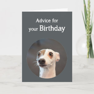 Carte Anniversaire Humour mignon chien trop Humour café