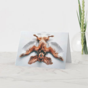 Carte Anniversaire Irlandais Setter Angel de neige