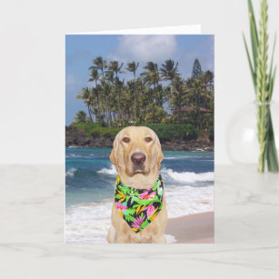 Cadeaux Joyeux Anniversaire Hawaien Zazzle Fr