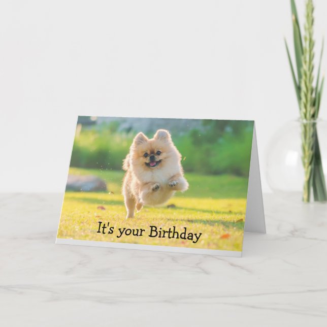 Carte Anniversaire Joyeux Chien Poméranien amusant (Devant)
