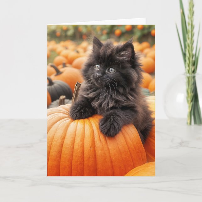 Carte Anniversaire Kitten Noir Sur Citrouille orange (Devant)