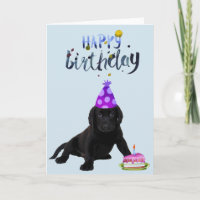 Anniversaire Labrador Retriever Lab Black Puppy