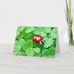 Carte Anniversaire Ladybug Sur Les Clovers À Quatre Feui