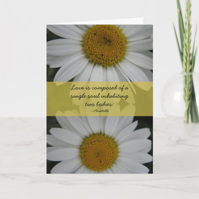 Carte Anniversaire--Marguerites, citation d'Aristote (Devant)