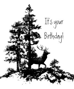 Cartes Cerfs Communs D Anniversaire Zazzle Fr Cartes Cerfs Communs D Anniversaire Zazzle Fr