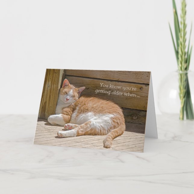 Carte Anniversaire Nap Chat (Devant)