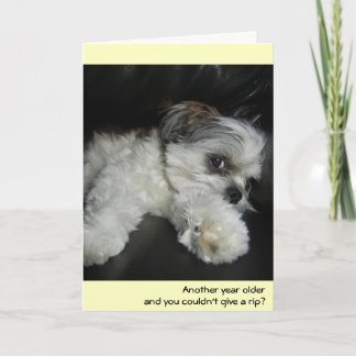 Carte Anniversaire - ne vous foutez pas !