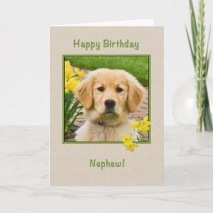 Carte Anniversaire, Nephew, Golden Retriever Dog, Daffod
