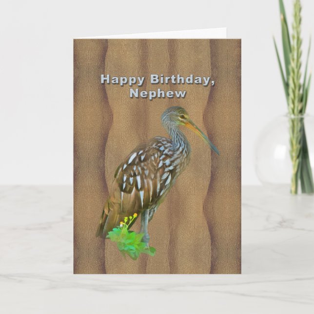 Carte Anniversaire, Nephew, Limpkin Marsh Bird (Devant)