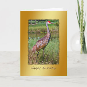 Carte Anniversaire, oiseau de grue de Sandhill