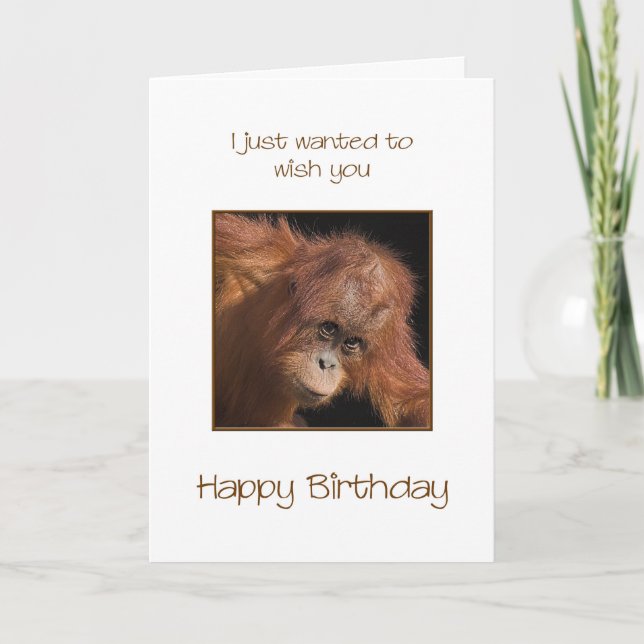 Carte Anniversaire, Orang Utan (Devant)