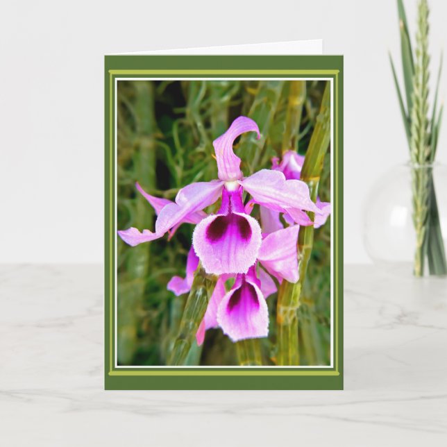 Carte Anniversaire Orchidée (Devant)