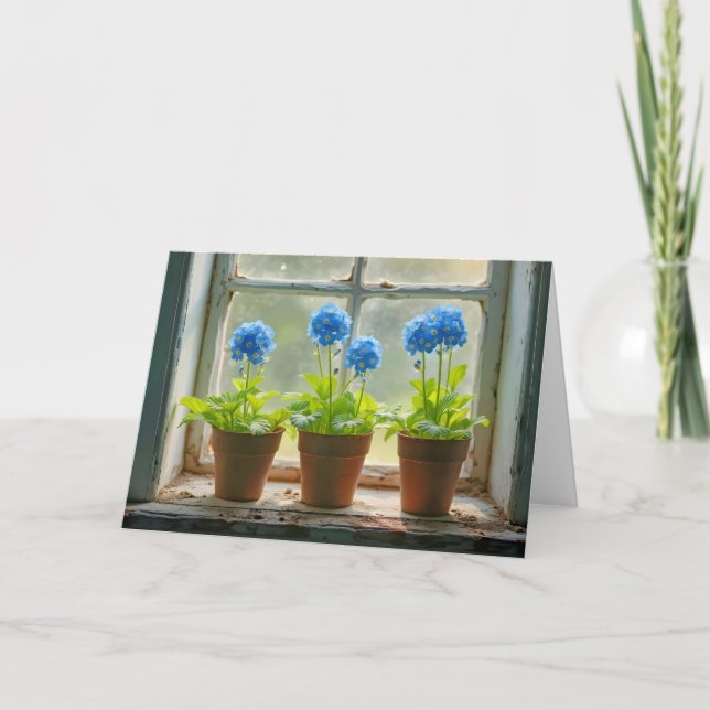 Carte Anniversaire Oubliez-Moi-Pas-Fleurs Pots (Devant)
