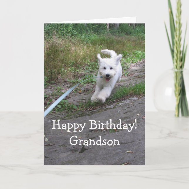 Carte Anniversaire Petit-Fils Mignon Goldendoodle Couran (Devant)