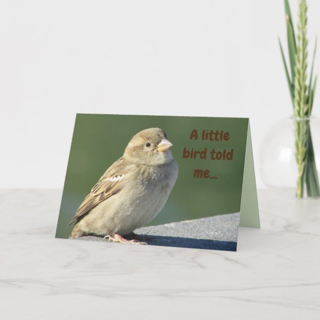 Carte Anniversaire Petit Oiseau M'A Dit Nature Mignonne  (Devant)
