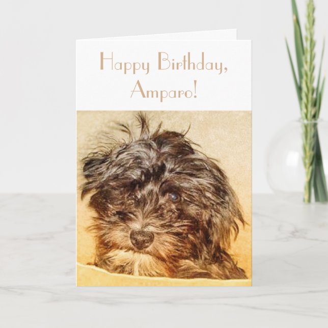 Carte anniversaire pliable Schnoodle (Devant)