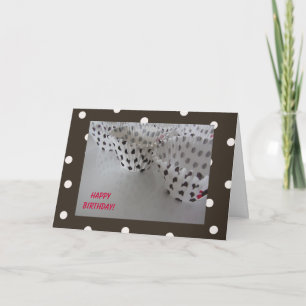Carte Anniversaire pois de couleur