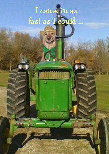 Cartes Tracteur D Anniversaire Zazzle Fr Cartes Tracteur D Anniversaire Zazzle Fr