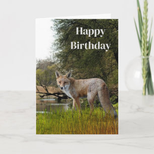 Carte Anniversaire pour hommes Renard rouge Faune et Nat