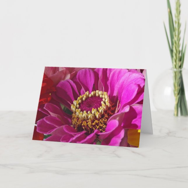 Carte Anniversaire pour Maman, Fleur Rose Zinnia (Devant)