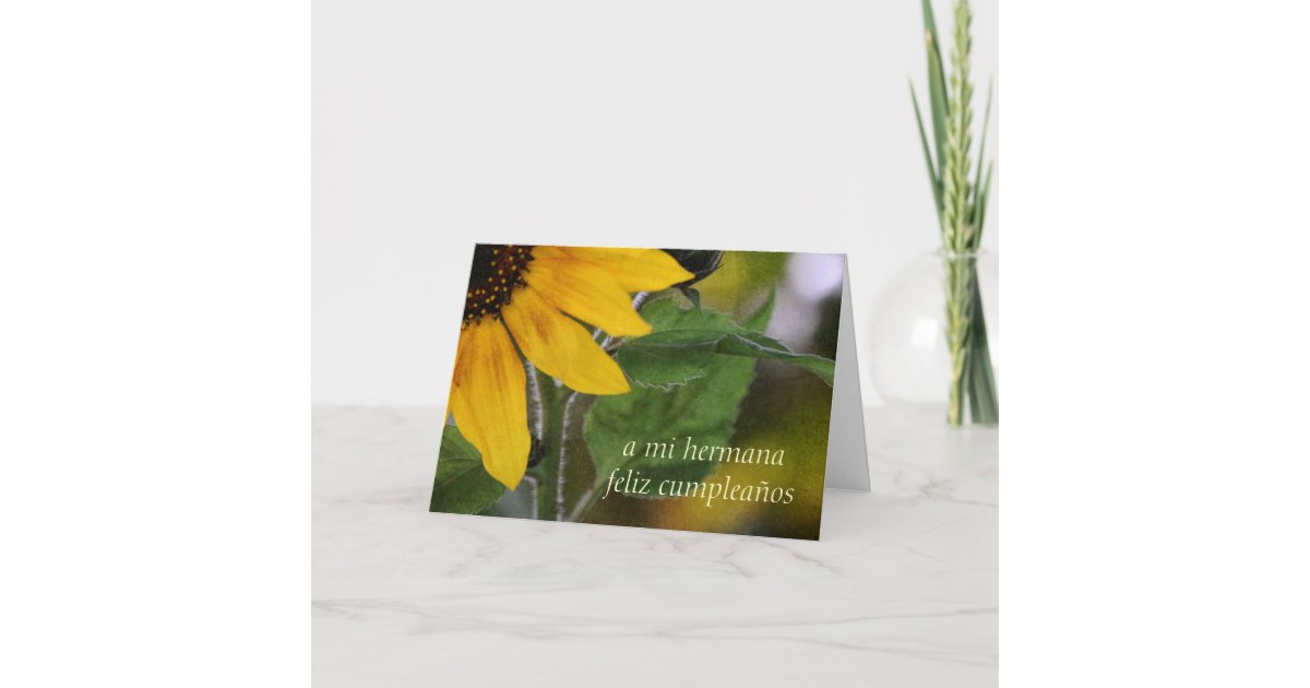 Comment On Dit Sœur En Espagnol