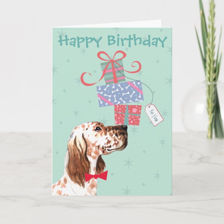 Carte Anniversaire Presente Anglais Setter Card Zazzle Fr