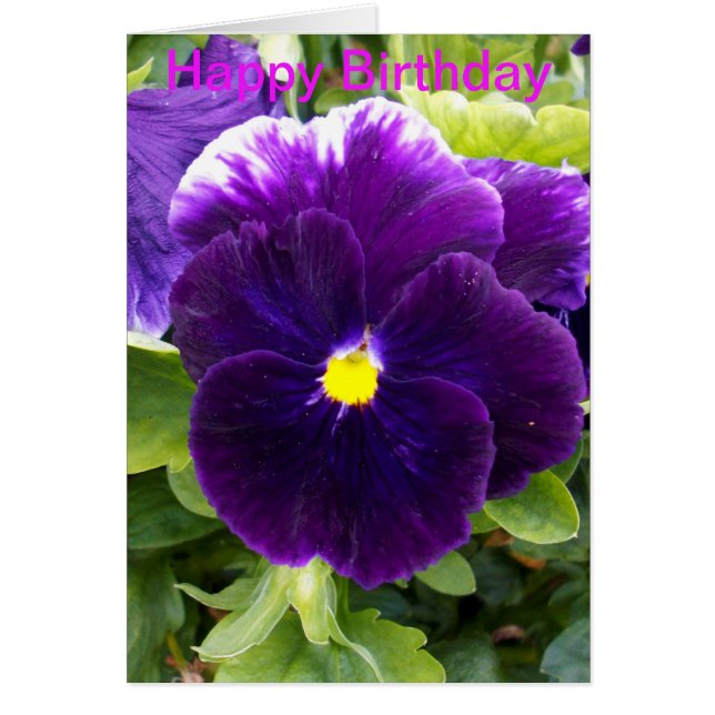 Carte Anniversaire Profonde Purple Pansy (Devant)