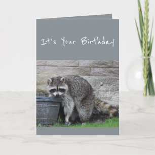 Carte Anniversaire Raccoon Bucket of Fun Humour Card