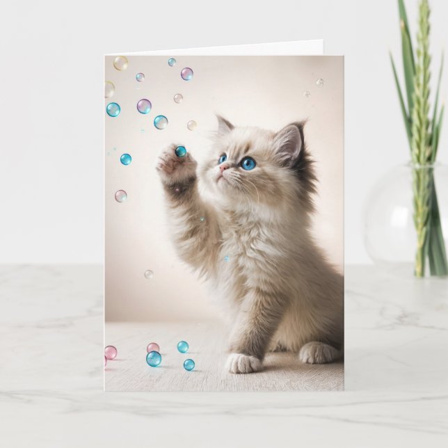 Carte Anniversaire Ragdoll Kitten Jouer Avec Des Bulles (Devant)