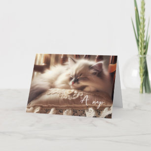 Carte Anniversaire Ragdoll Kitten Sur Coussin