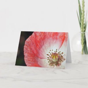 Carte Anniversaire rose de pavot