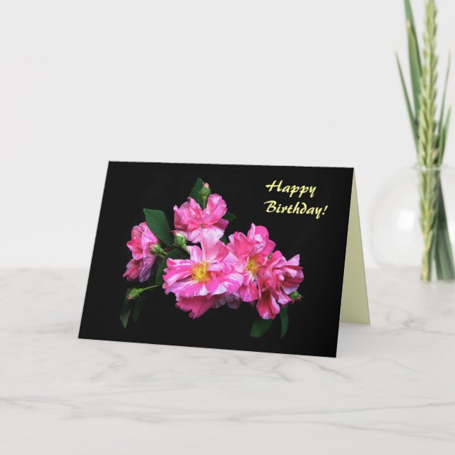 Carte Anniversaire Rose rayé (Devant)