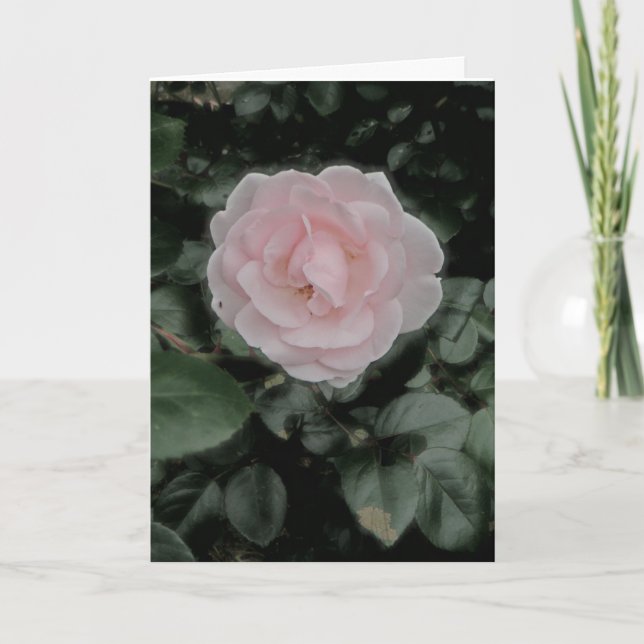 Carte Anniversaire rose simple (Devant)